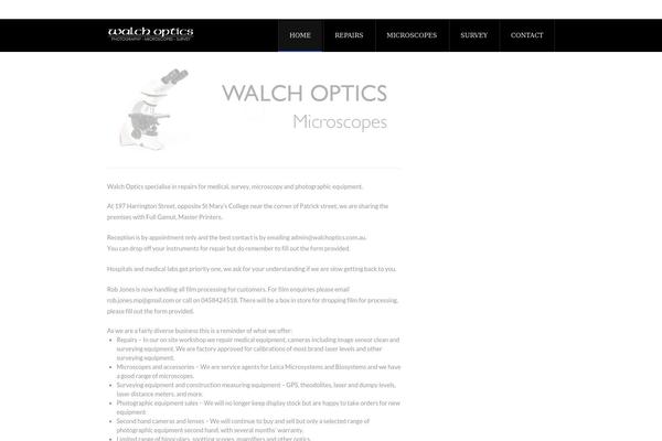The Leader theme site design template sample