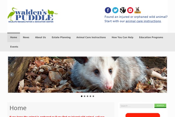 Coller theme site design template sample