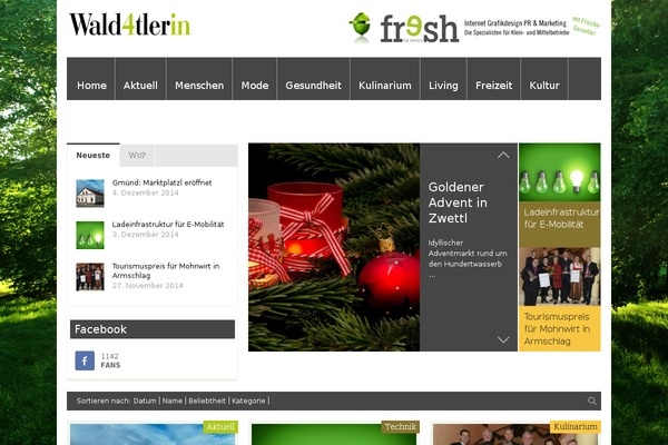 FlyingNews theme site design template sample