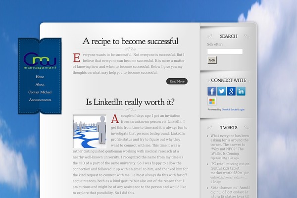 Rt_cerulean_wp theme site design template sample