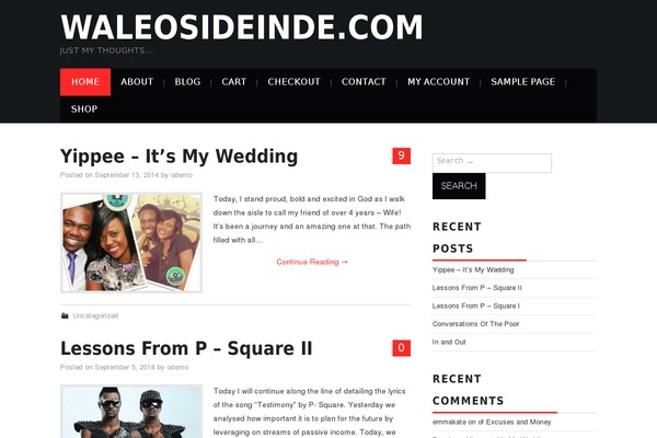 Hiero theme site design template sample