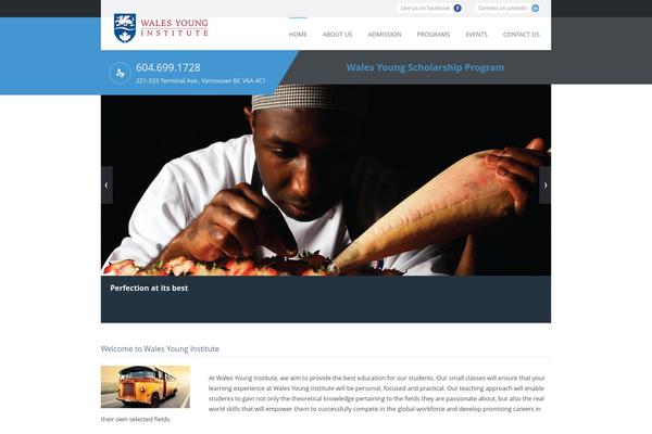My College theme site design template sample