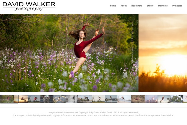 Enfold-child theme site design template sample