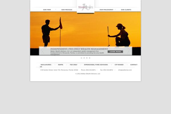 Wealth theme site design template sample