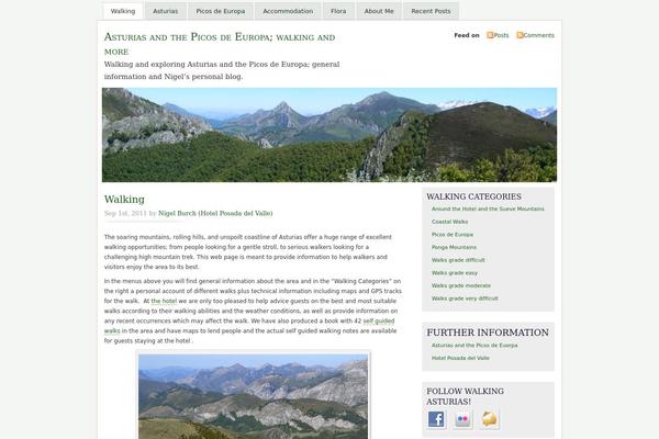 Misty Look theme site design template sample