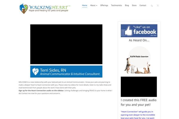 Pi theme site design template sample