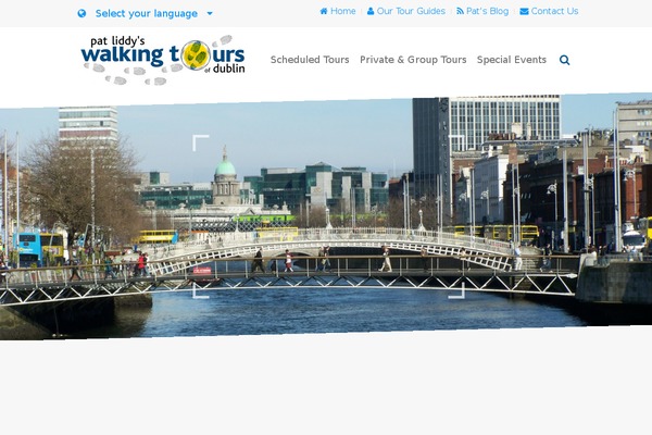 Capture theme site design template sample