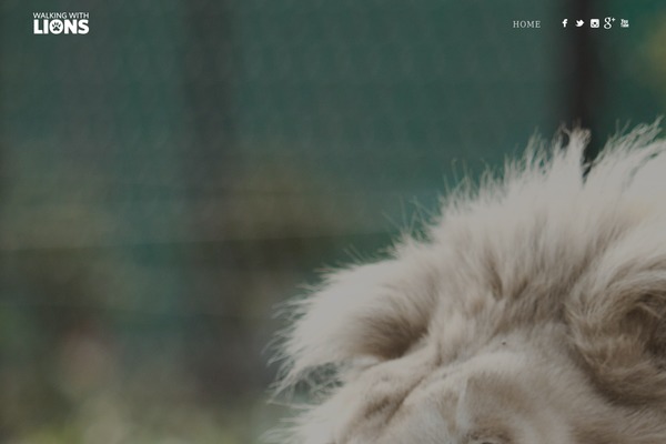 walkingwithlions.com site used Story
