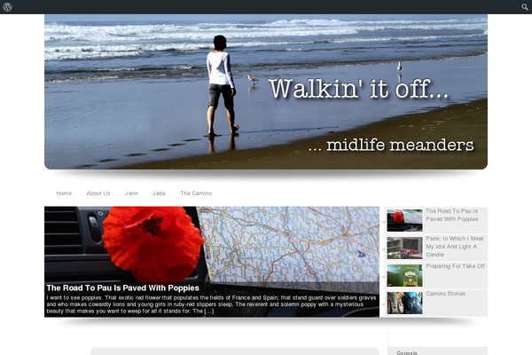 Custom Community Pro theme site design template sample