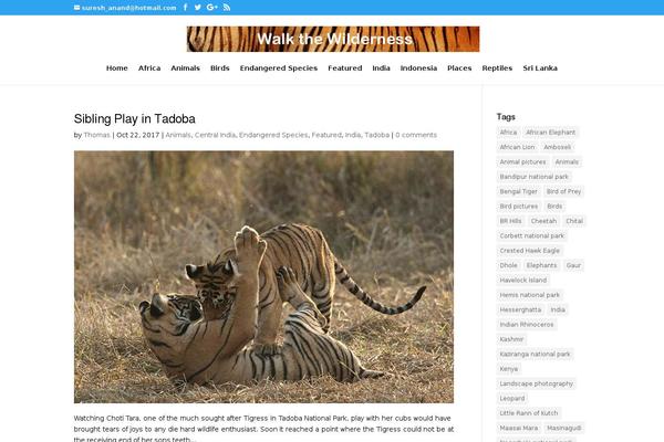 Divi child theme site design template sample