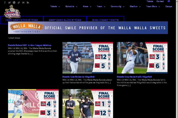 Site using Wonderplugin-gallery plugin