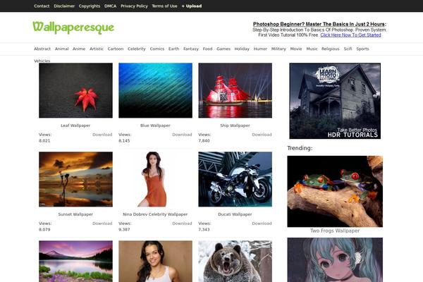 PlixPro theme websites examples