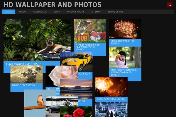 what WordPress theme, websites list used what theme what theme websites examples