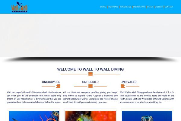 Richer theme site design template sample