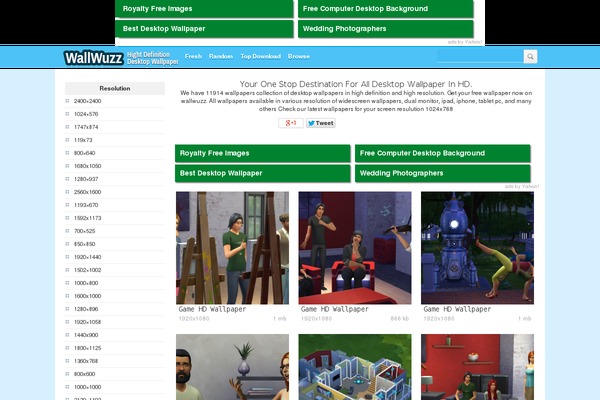 Caos theme site design template sample