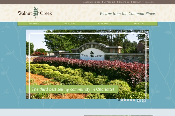Site using dsIDXpress IDX Plugin plugin