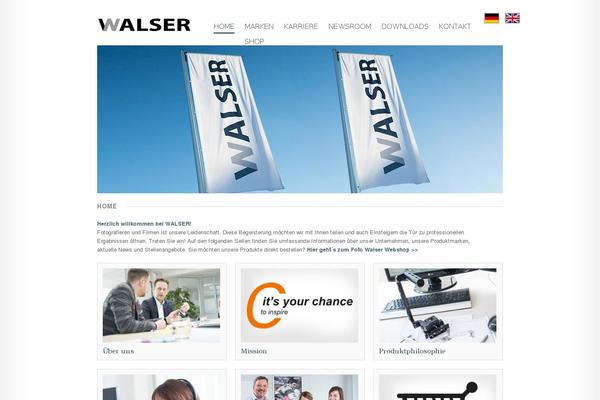 Site using Newsletter2go plugin