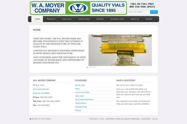 Enterprise theme site design template sample