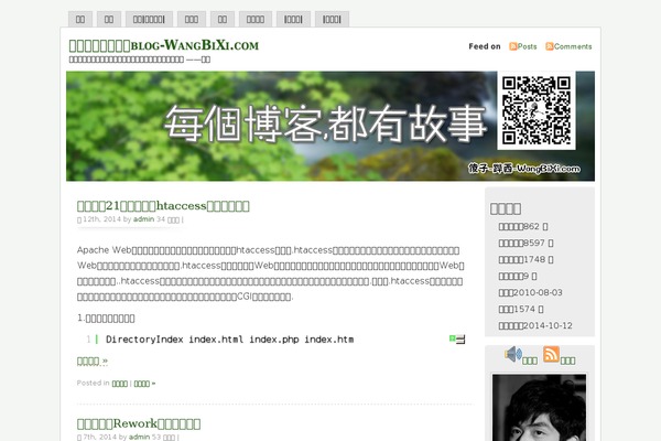 Misty Look theme site design template sample