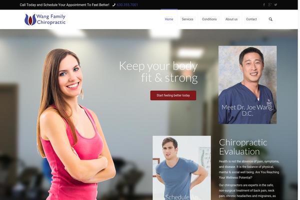 wangfamilychiropractic.com site used Wang