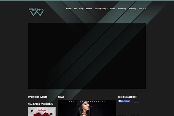 Site using Social Viral Downloader plugin