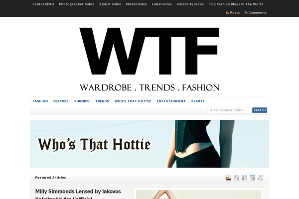 Site using Google Custom Search plugin