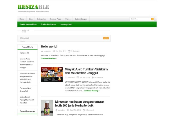 Resizable theme site design template sample