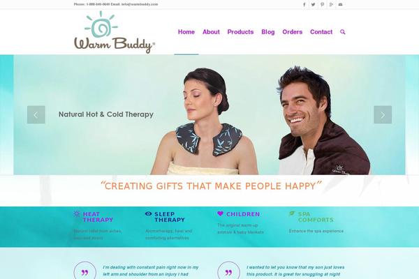 Enfold-child theme site design template sample