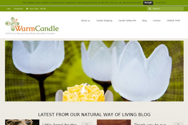 warmcandle.com site used Directorypress