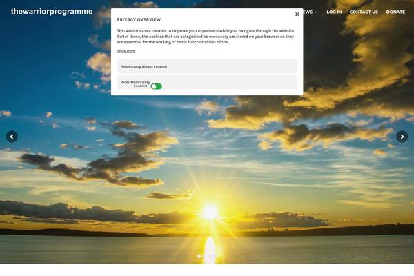 Divi Child theme site design template sample