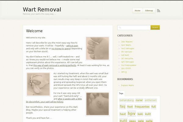 WordPress website example screenshot