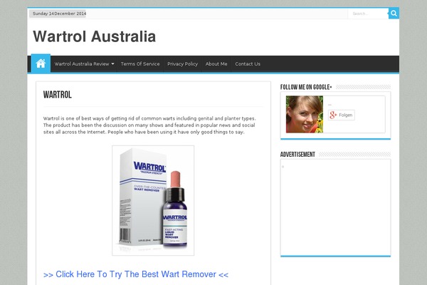 Kodax theme site design template sample