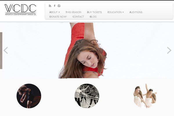 Customizr theme site design template sample