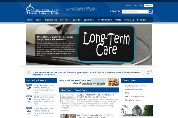 Site using Best Custom CSS plugin