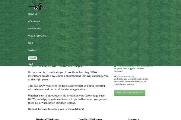Site using Widgets on Pages plugin