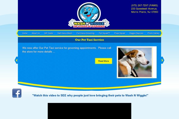 Petsandvets theme site design template sample