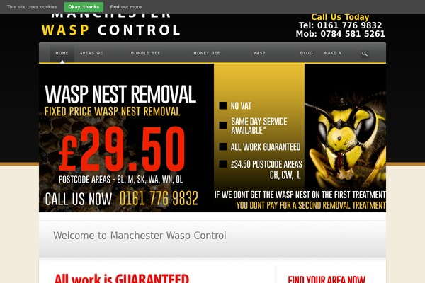 Awake theme site design template sample