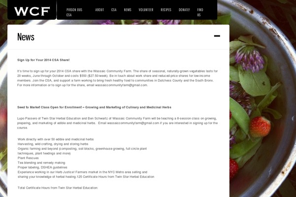 DK theme site design template sample