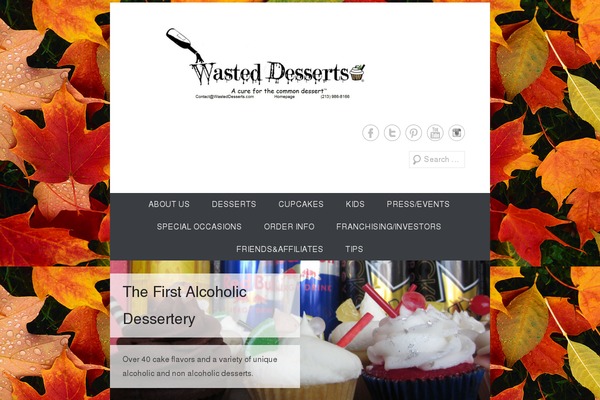 Catch Everest Pro theme site design template sample
