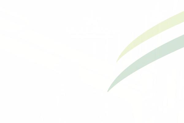 Site using Loftloader plugin