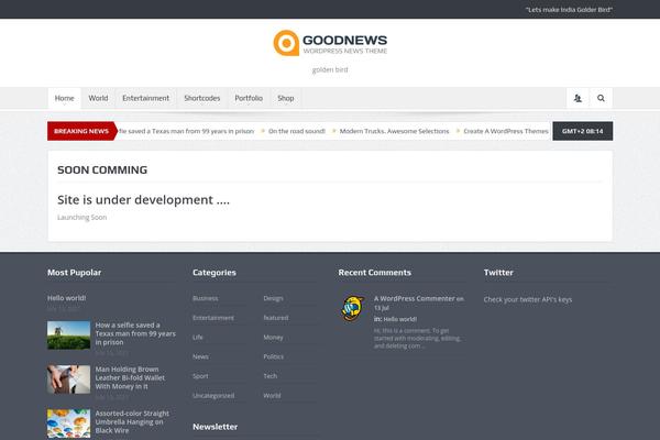 Goodnews 5.5 theme site design template sample