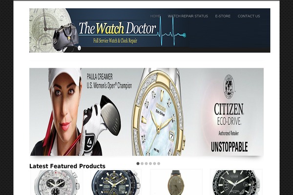 Express_store theme site design template sample