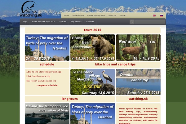 Coldstone theme site design template sample