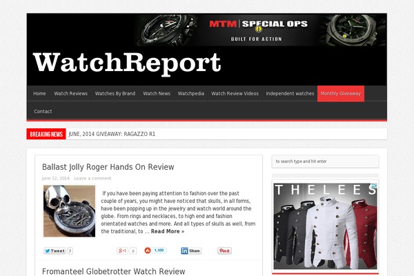 The-review theme site design template sample