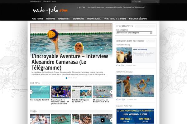 Resportsive theme site design template sample