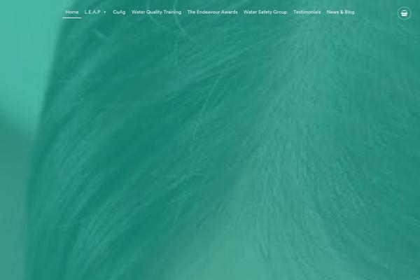 Site using Owl Carousel plugin