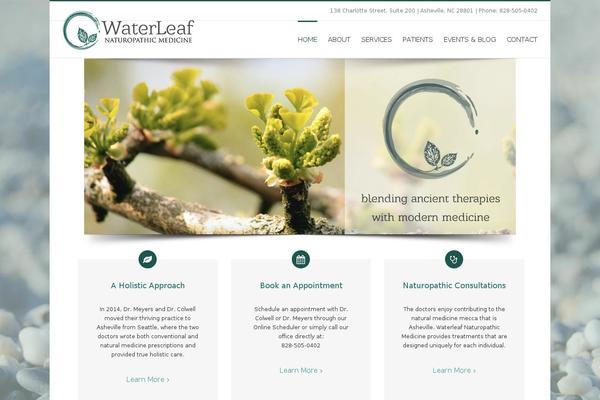 Dreamtheme theme site design template sample