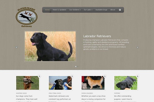Feather theme site design template sample