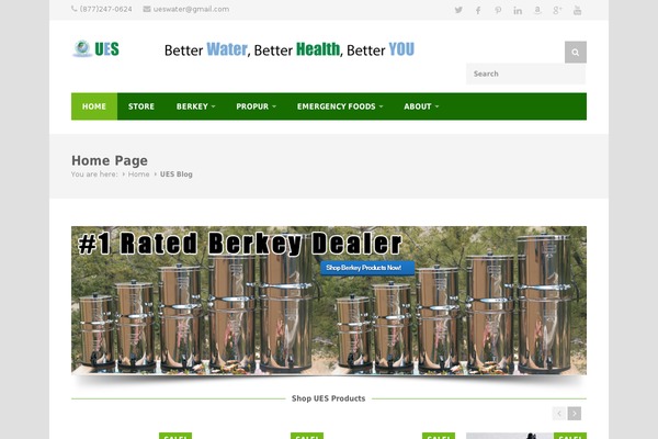 Trizzy theme site design template sample
