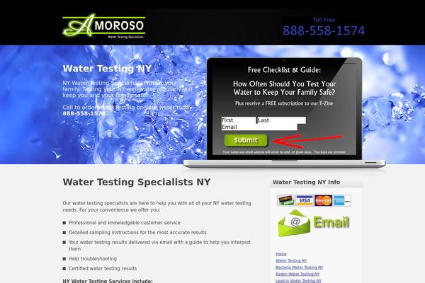 watertestingny.com site used Newlife